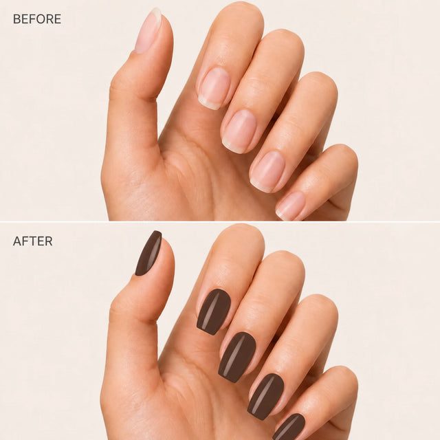 Espresso Press-On Nails, Medium Coffin — Before / After (fond crème)