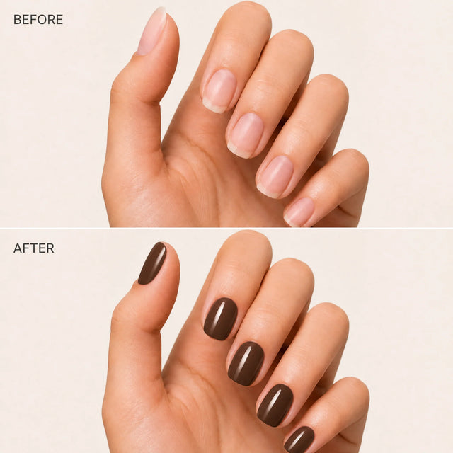 Espresso Press-On Nails, Short Oval — Before / After (fond crème)
