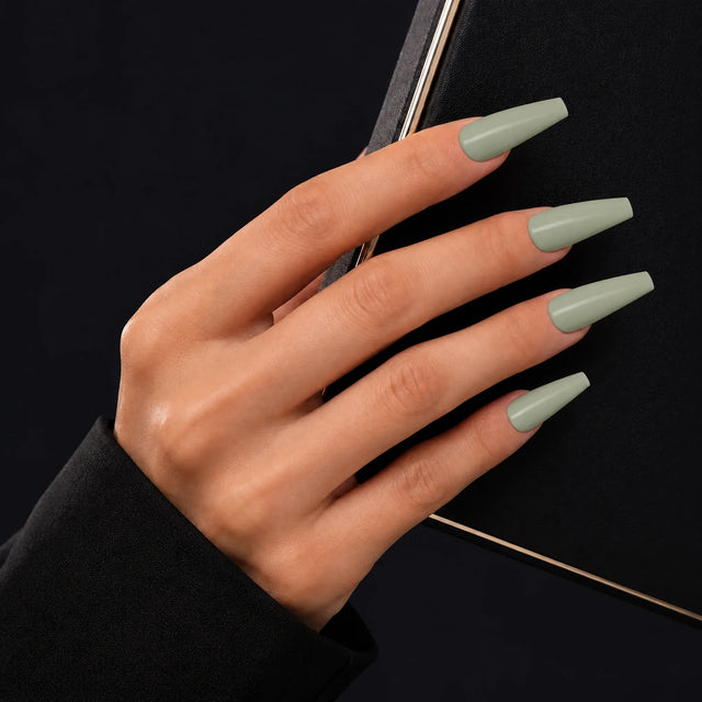 Sage Press-On Nails, Long Coffin — Main sur pochette noire (liseré doré)